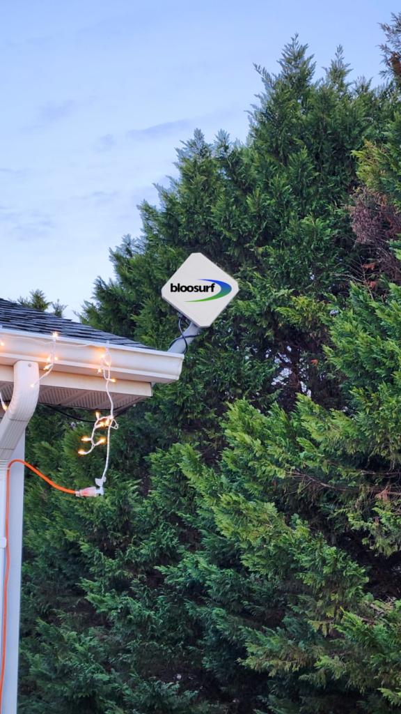 Installation of the week December 19th 2022 | Bloosurf